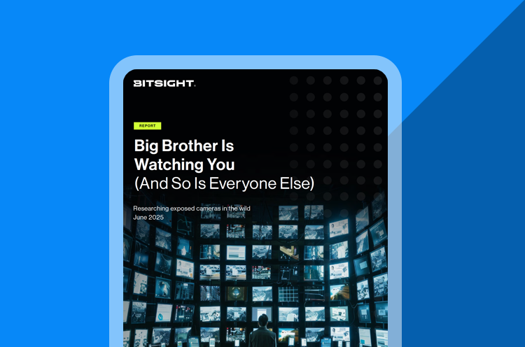 Big Brother Is Watching You And So Is Everyone Else