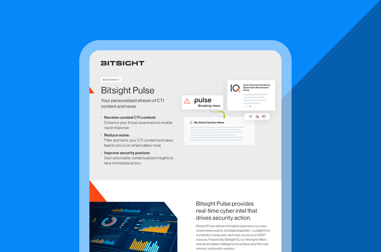 Bitsight Pule Data sheet cover