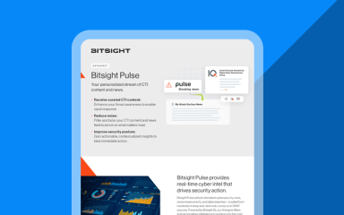 Bitsight Pule Data sheet cover