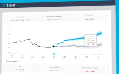 BitSight Forecasting Overview Video
