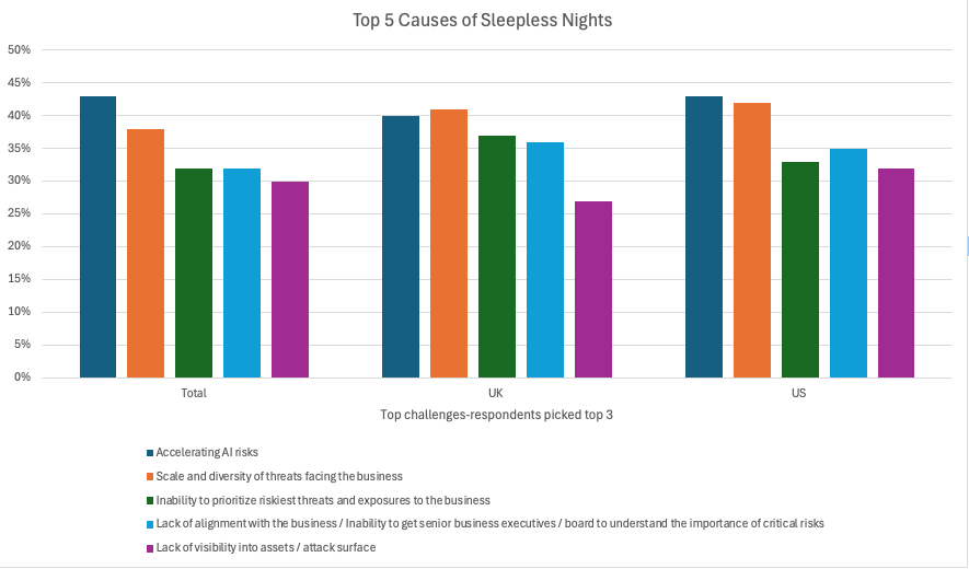 Top 5 Challenges for Cyber Risk Professionals in the UK