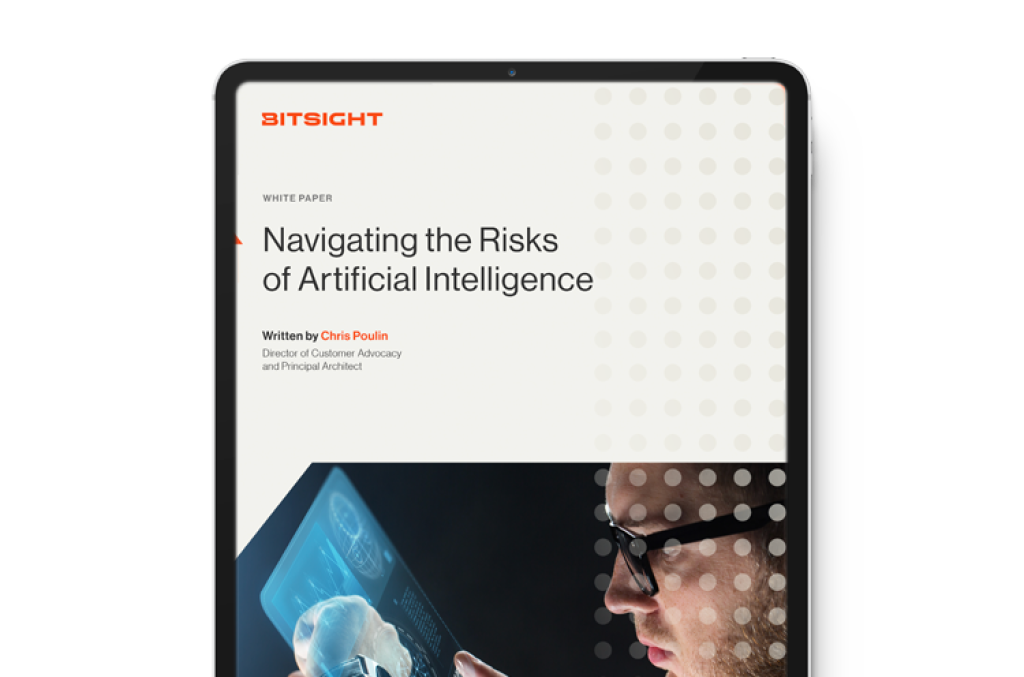 White Paper - Navigating the Risks of AI